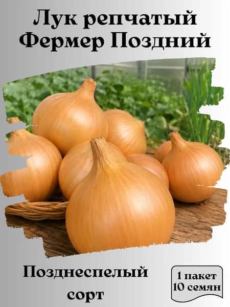 Коллекционные семена лука репчатый Фермер Поздний
