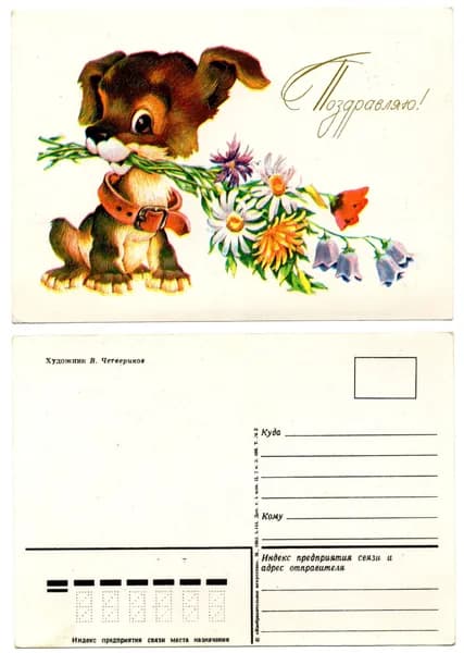 Открытка "Поздравляю!", Четвериков, 1983, СССР, 10.5х14.8 см