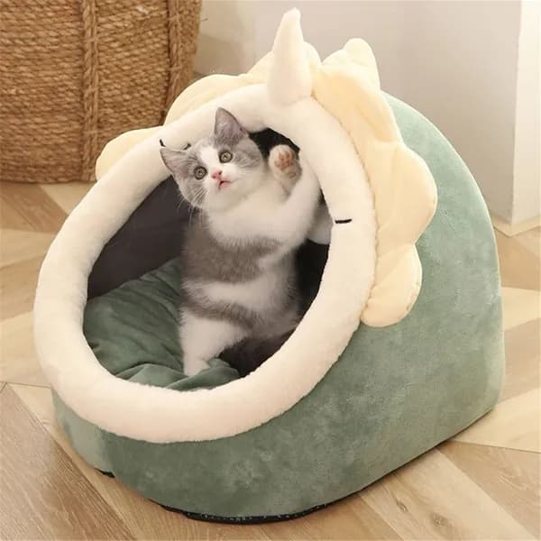 Пещера матраса котят