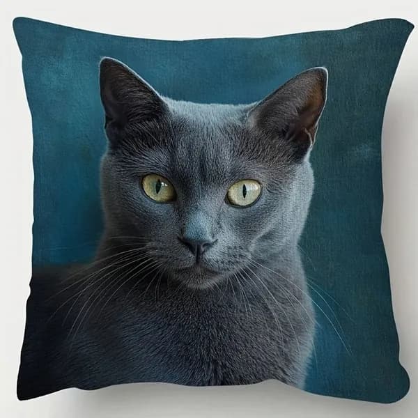 Наволочка декоративная 45x45 см, 1 шт.