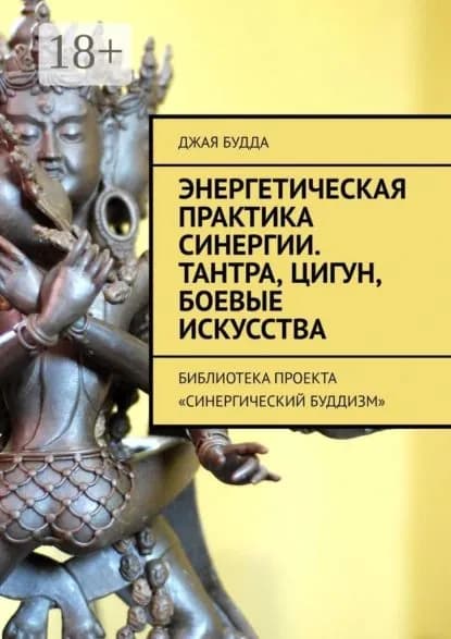 Энергетическая практика синергии. Тантра, цигун, боевые искусства. Библиотека проекта Синергический буддизм | Будда Джая | Электронная книга