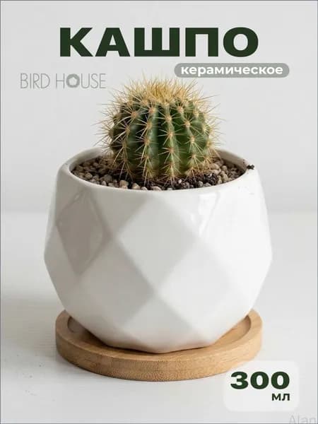 Горшок для цветов 0.3 л, 8.5 см, 1 шт, цвет белый