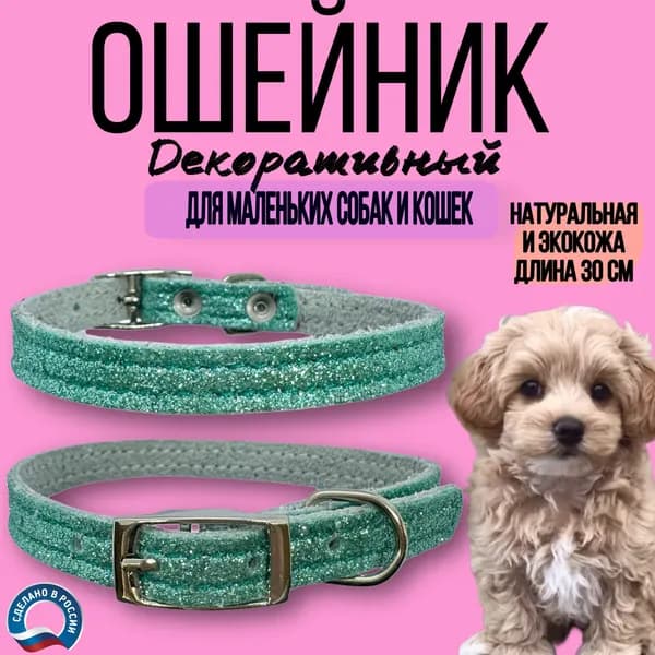 Ошейник из комбинированной кожи с блестками для кошек, котят и собак мелких пород, обхват шеи 20-28