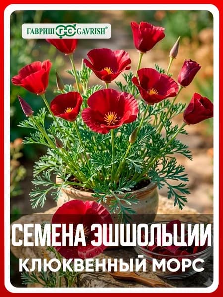 Семена Эшшольция "Клюквенный морс" 0,2 гр, однолетние цветы для дачи, сада и огорода, клумбы, в открытый грунт, на балкон, в ящик.