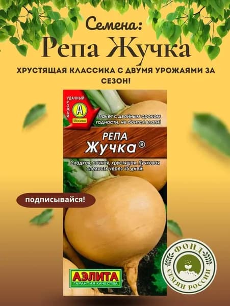 Семена Репы, Жучка, 1 гр.