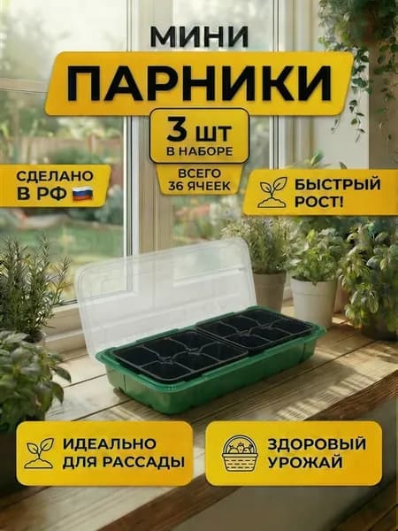 Мини парник для рассады с крышкой