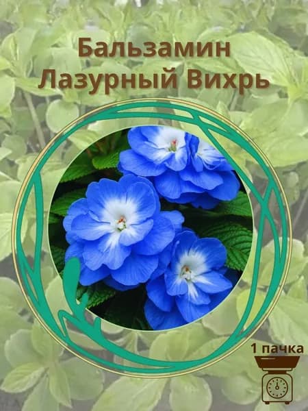 Бальзамин Лазурный Вихрь 10 шт. семян