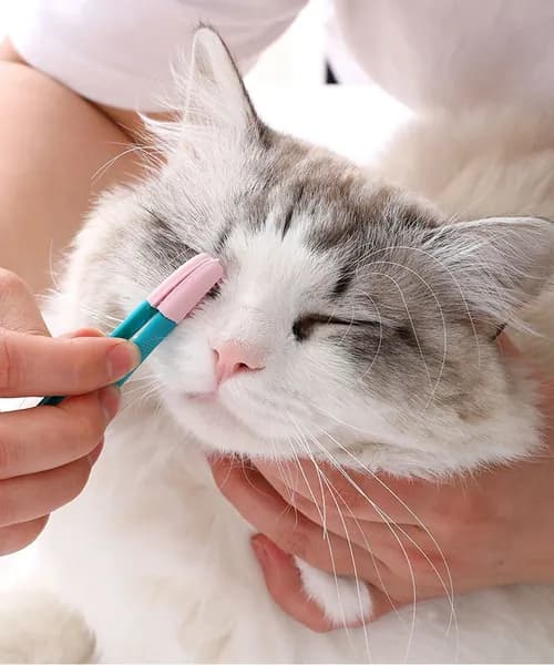 Гигиеническая щетка для глаз и ушей собак и кошек с мягкой щетиной