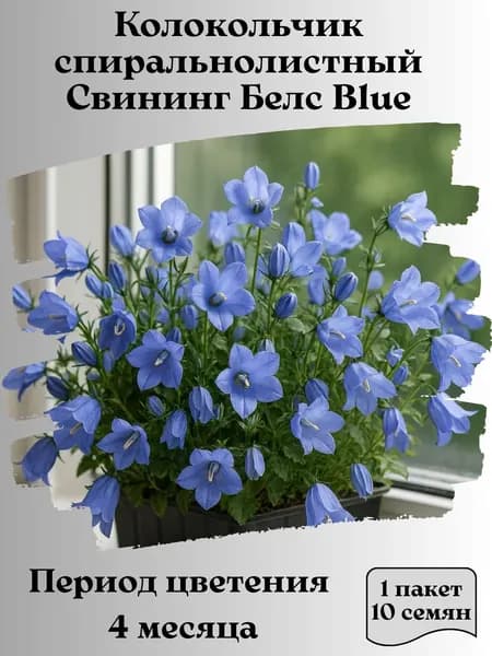 Колокольчик спиральнолистный Свининг Белс Blue, 10 шт., 15 гр.