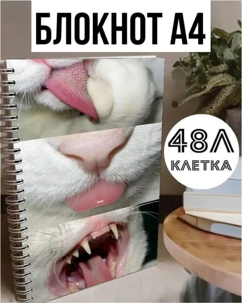 Блокнот A4, листов: 48