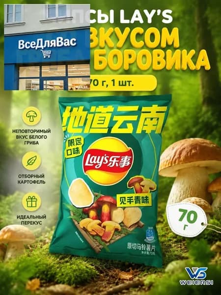 Чипсы Lay's со вкусом гриба боровика, 70 г, 1 шт.B702