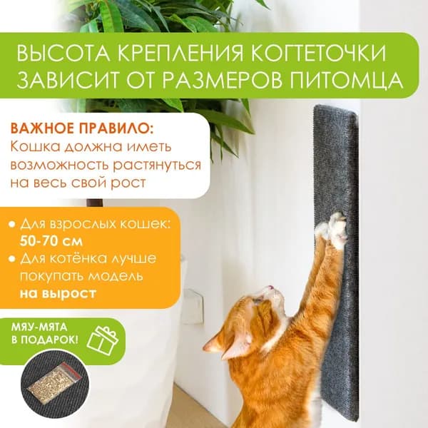 Когтеточка настенная прямая для кошек, котов и котят 50*15см, серая