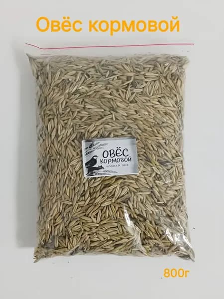 Овёс Кормовой