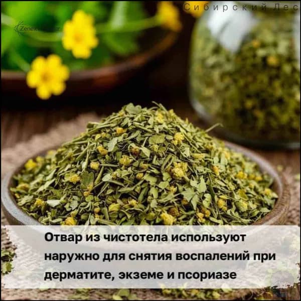 Трава чистотела сушеная, 100 г премиум