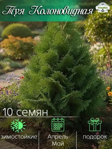 Семена ,10шт