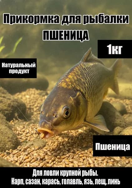 Прикормка для рыбы пщеница