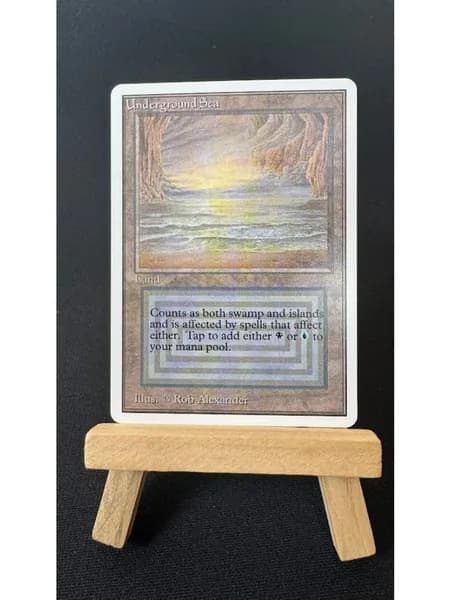 Заголовок: Волшебство в твоих руках: Уникальная карта Magic: The Gathering (MTG) с защитным протектором в подарок!
