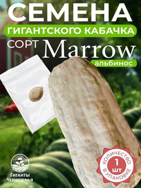 Кабачки семена. ГИГАНТ, семена кабачков "Marrow/Марроу" (альбинос) - 1 шт.