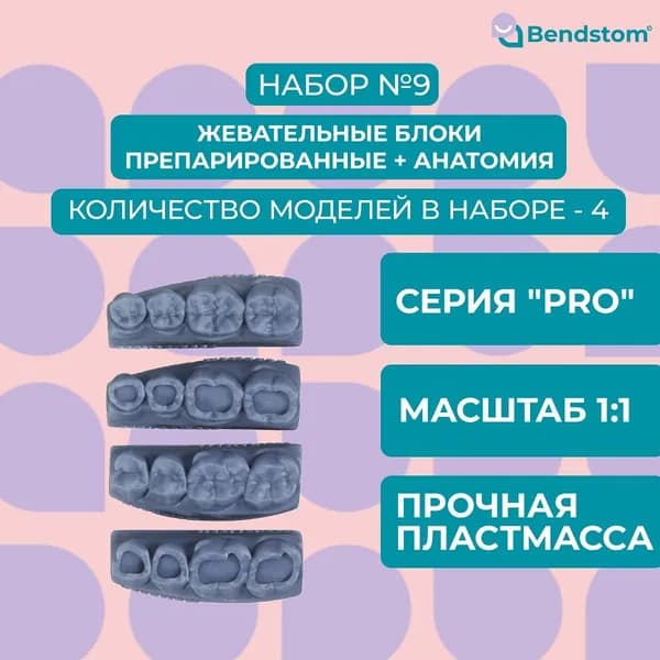 Набор №9 жевательные блоки PRO (4 штуки) препарированные + анатомия / для отработки мануальных навыков / стоматологические модели для реставрации