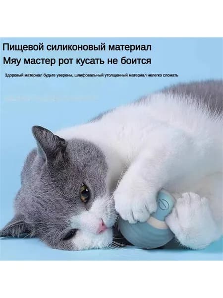 Умный забавный кошачий мячик