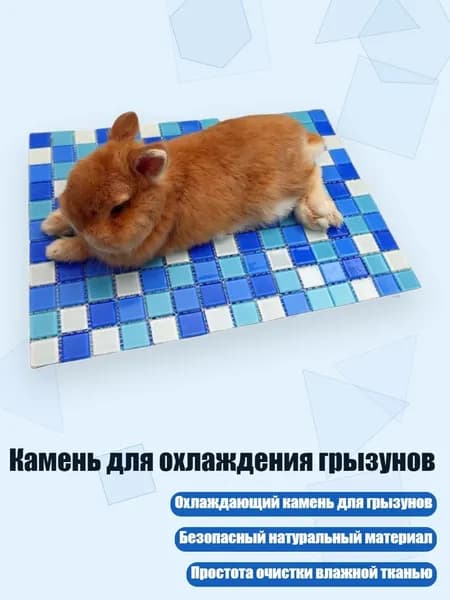 Камень для охлаждения грызунов, Синий - S