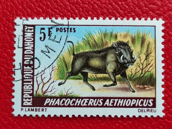 Марки Дагомея 1969. Животные Африки: "Бородавочник африканский/Phacochoerus aethiopicus". Чистая - см фото