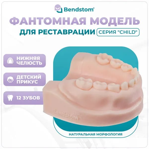 Нижняя детская фантомная челюсть в анатомию (12 зубов) "Child" / для отработки мануальных навыков / стоматологические модели