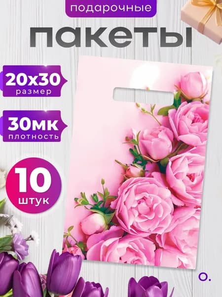 Пакет подарочный 20*30 см, 10 шт.
