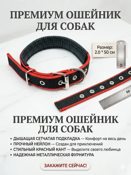 Прочный двухцветный ошейник для собак с мягкой поролоновой подкладкой и надежной металлической пряжкой