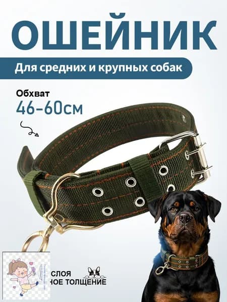 Ошейник