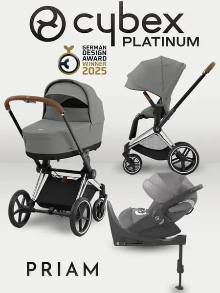 Priam IV 4 в 1 Chrome Brown цвет Mirage Grey