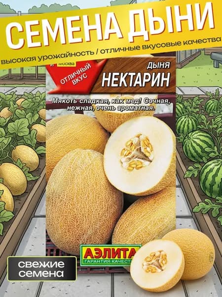 Дыня семена для открытого грунта теплиц Нектарин / семена овощей для огорода