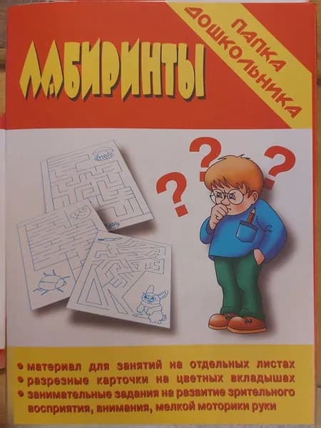 Бурдина Папка дошкольника Лабиринт. Зрительное восприятие, мелкая моторика рук.