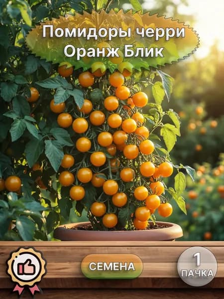Помидор черри Оранж Блик, семена 10 шт