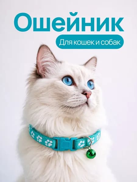 Ошейник с колокольчиком для кошек, котят, собак мелких пород и кроликов