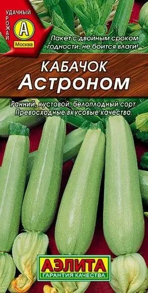 Семена кабачков Астроном, Аэлита