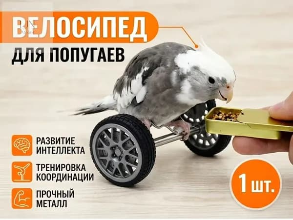Игрушка для животных,Интерактивная игрушка для попугаев "Велосипед-балансир", тренажер для дрессировки и развития интеллекта птиц, для корелл и неразлучников, 1 шт.