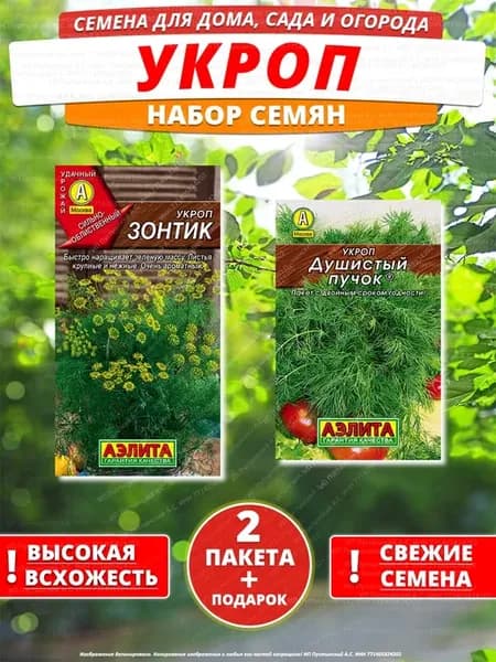 Семена укроп для дома сада посадки