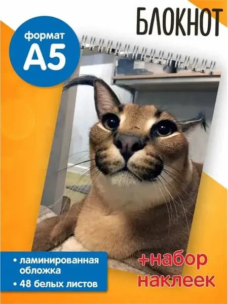 Блокнот большой Big Floppa Шлепа