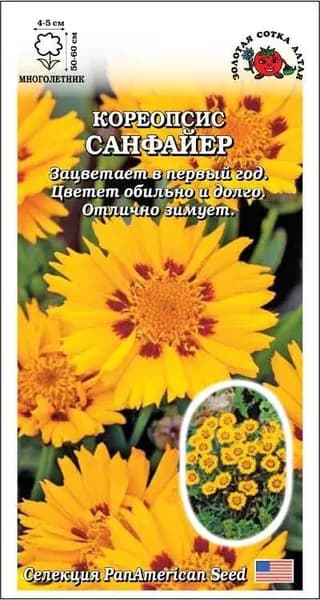 Кореопсис Санфайер /Сотка/ 5 шт/*