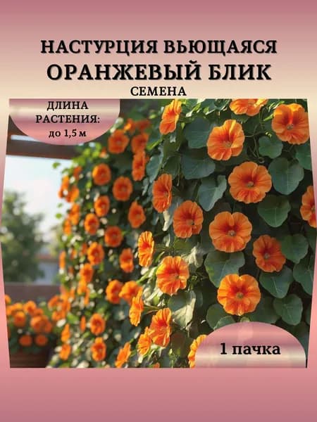 Настурция вьющаяся "Оранжевый Блик" семена, 1 пачка