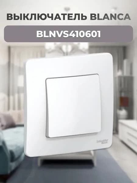 BLNVS410601 С/У IP44 1-клавишный переключатель (сх.6), 10AX