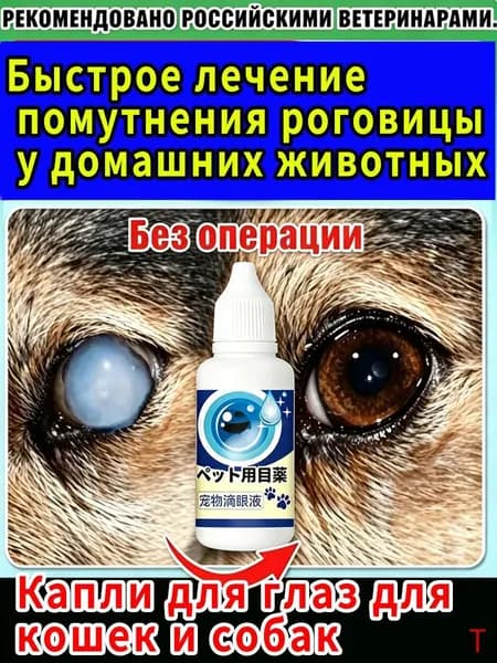 Капли для животных. Глазные для кошек и собак Капли от катаракты для Собаки кошки 20мл