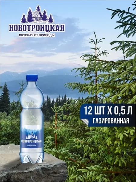 Вода минеральная Новотроицкая газированная, 12 шт х 0,5 л