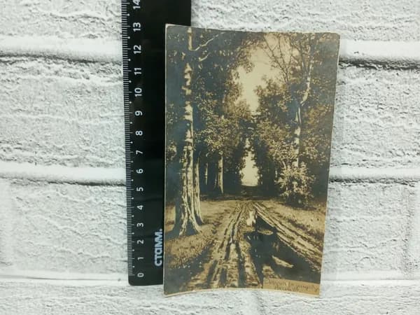 Канцелярия антикварная винтажная Открытка Дорога в лесу Художник Ефим Волков
