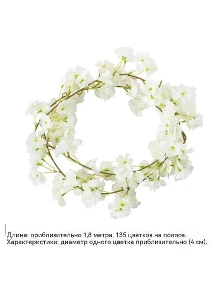 Сухоцветы
