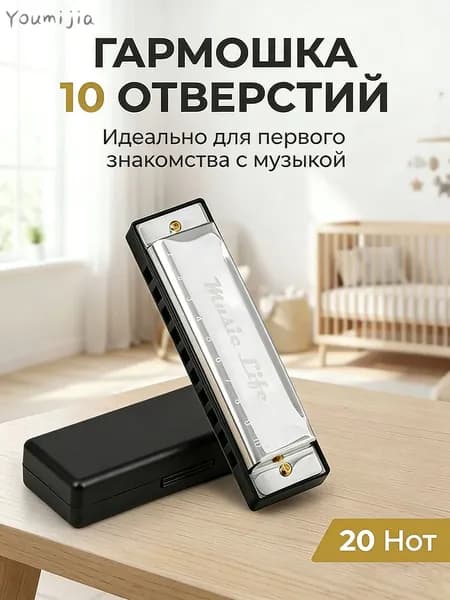 Детская губная гармошка диатоническая С мажор 10 отверстий, металл/пластик с футляром, развивающая музыкальzzz