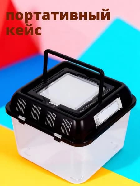 Пластиковый прозрачный контейнер для кормления черепах и других домашних питомцев