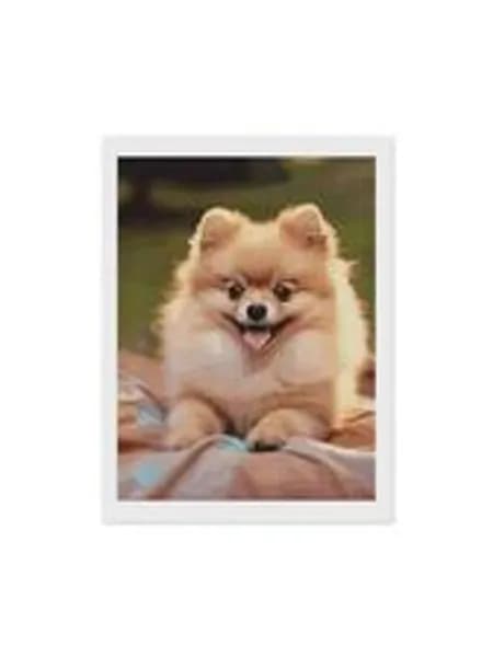 Diamond Art Painting Kurzhaarige Pomeranian Набор для алмазной мозаики