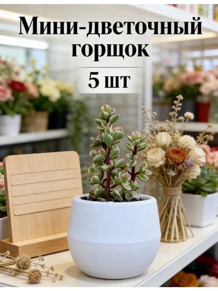 Вазон 6.5 см, 5 шт, цвет белый